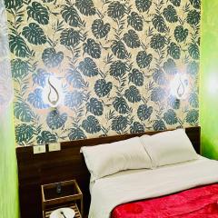 Magenta Roma house
