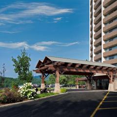 더 파크 비스타 - 어 더블트리 바이 힐튼 호텔 - 개틀린버그(The Park Vista - A DoubleTree by Hilton Hotel - Gatlinburg)