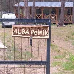 ALBA Pelnik domki holenderskie