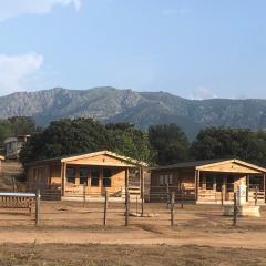 Les chalets du Haras de Tesa, proche Ile-Rousse