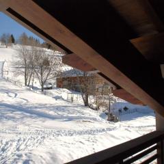 LA PLAGNE MONTALBERT Chalet - fitness - wifi