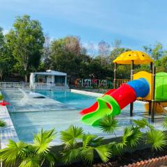 Farm Ao Sen - Hồ bơi chung