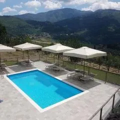 Holiday home in Pelago with garden