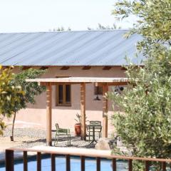 Alma Liebre Viñedos del Valle