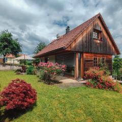 Kolpa holiday house