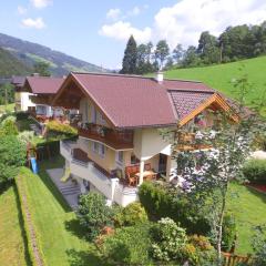 Modern apartment in Salzburger with terrace