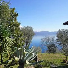 Ville in uliveto vista lago - VILLA CASALIVA