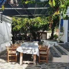 Diamoni Afroditi dogfriendly holidayhome with garden 2 to 5 persons