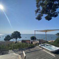 Grande villa avec jacuzzi à La Pointe aux Chevaux - FR-1-736-23