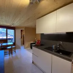 Charmant studio avec balcon sud, au calme et proche du centre d'Abondance - FR-1-692-84