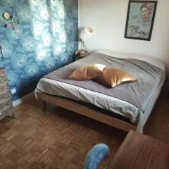 Les chambres des chats malicieux