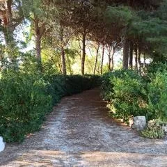 Casa dei Nonni by Briciole di Gusto - 3000mq di relax in giardino a 1500m dal mare