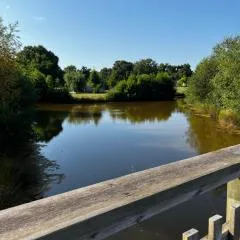 Le Nid du Teich
