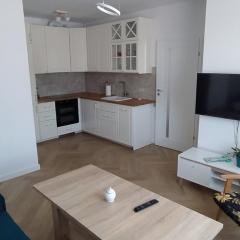 Apartament Kopernika