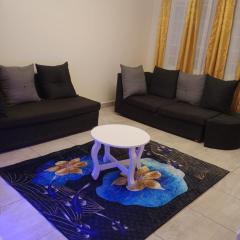 Lux Suites Neema Court Furnished Apartments