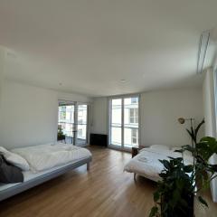 The R Apartment Passwang, KLIMA, NEU, Balkon, Parking