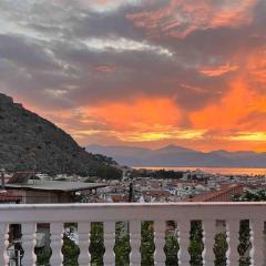 180° View