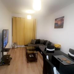 Modern City Centre Executive Flat