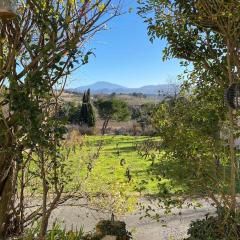 La vue sur le Mont Ventoux, appartement & parking