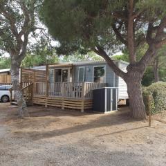Mobilhome climatisé et ombragé