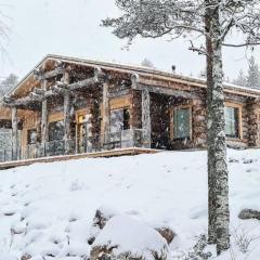 Luxury log villa in Rovaniemi