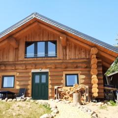 Holzhaus Wildsbergblick