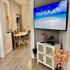 Garden City Center Apartment