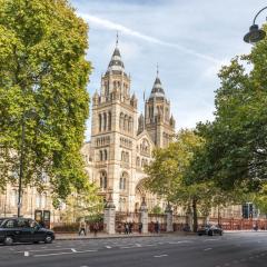 SouthKen Palace Suites
