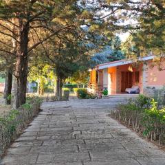 Nature, memories and garden shower at Casa del Castello