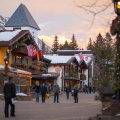 Vail Village 5 Bedroom With Private Hot Tub - Plaza Lodge