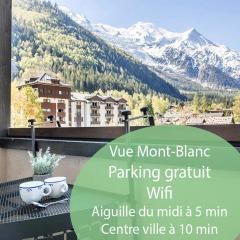 Au Pied Du Mont-Blanc - Chamonix