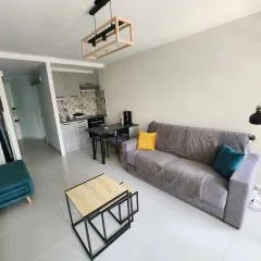 studio meuble climatise centre ville vue mer