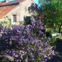 Maison Larzac Cevennes Grand Gite