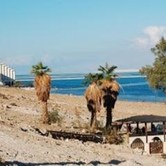 צימרים רוז - ים המלח