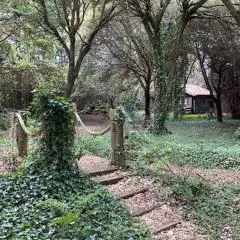 Cabaña de ensueño en el bosque y junto al mar