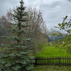 En pleine nature avec jardin