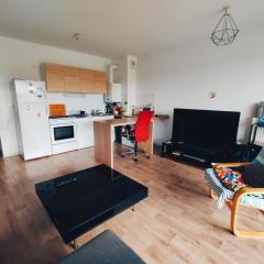 Spacieux T2 Proche Mer, Biarritz et Commerces