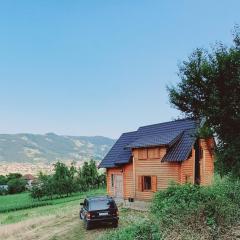 Woodhouse Zinka كوخ