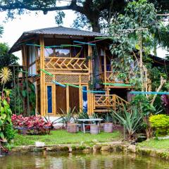 CASA DEL ÁRBOL, Romántico, Piscina, en Chinauta, el mejor clima