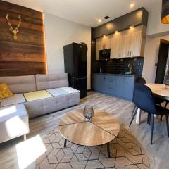 Apartamenty ZakopanePoleca - Krupówki Centrum