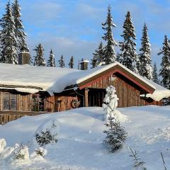 Awesome Home In Sjusjen With Sauna, Wifi And 3 Bedrooms