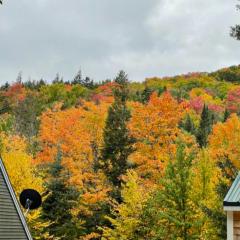 The Mink Brook Retreat