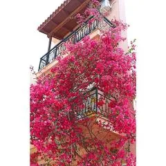 Bougainvillea apartment