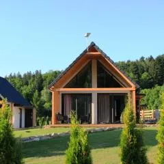 Galena i Gnejs