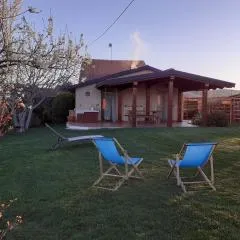 Gatti di Langa