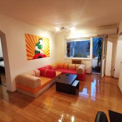 Comfy & Pleasant Apartment 10 min walk to Downtown