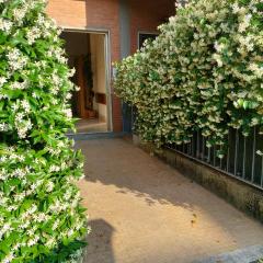 Flowerence