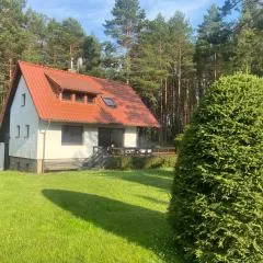Domek Leśny Reset