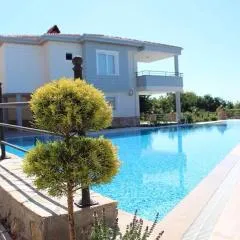 Begon Villa