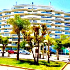 Terraza San Martín Viña del Mar